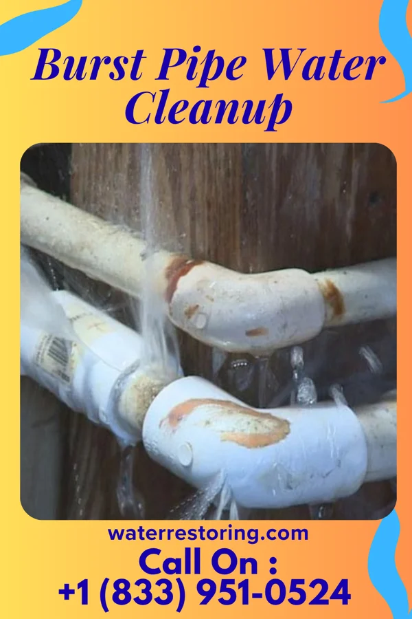 Burst Pipe Water Cleanup in Prairie Heights, WA
