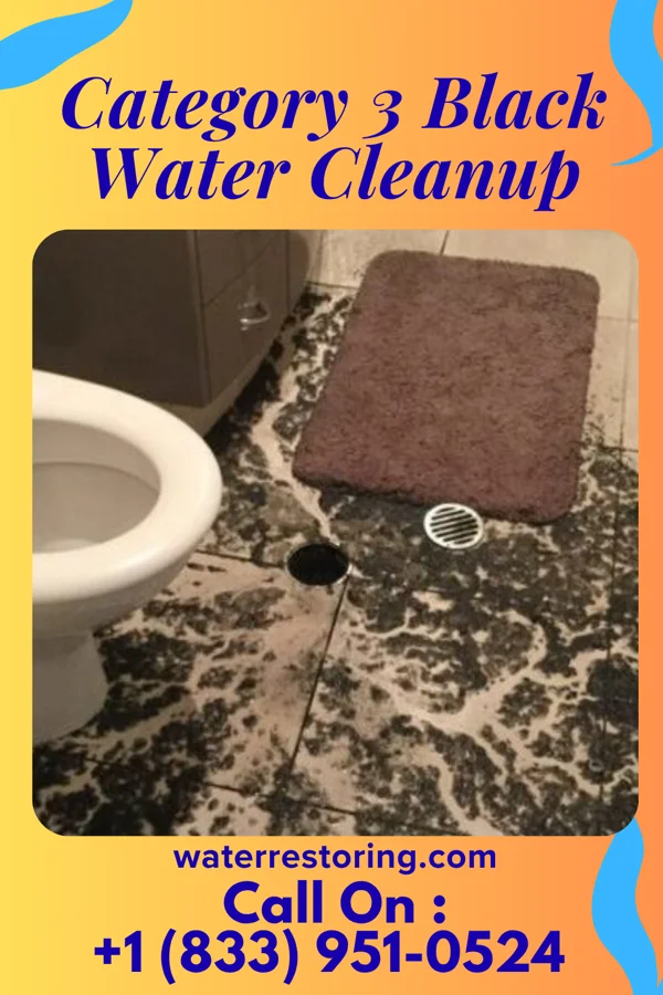 Category 3 Black Water Cleanup in Prairie Heights, WA
